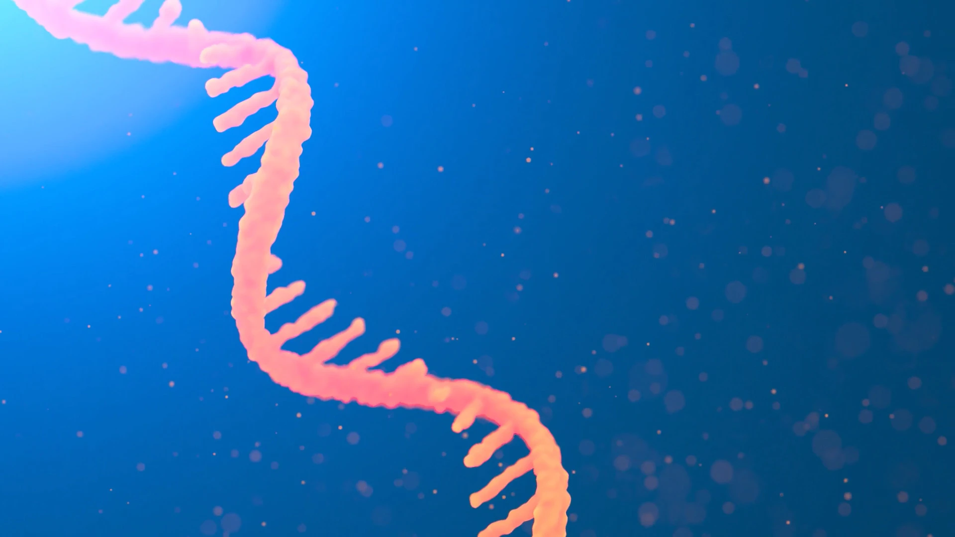 Animation image