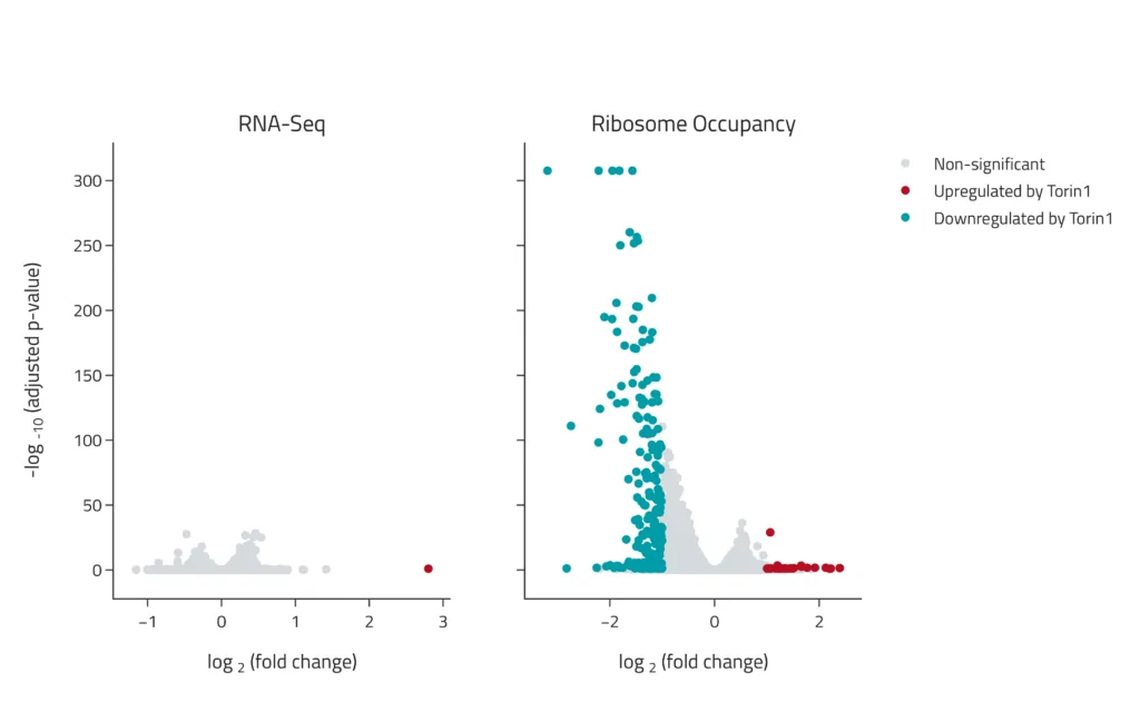 Volcano plot showing translation changes after treatment with Torin1