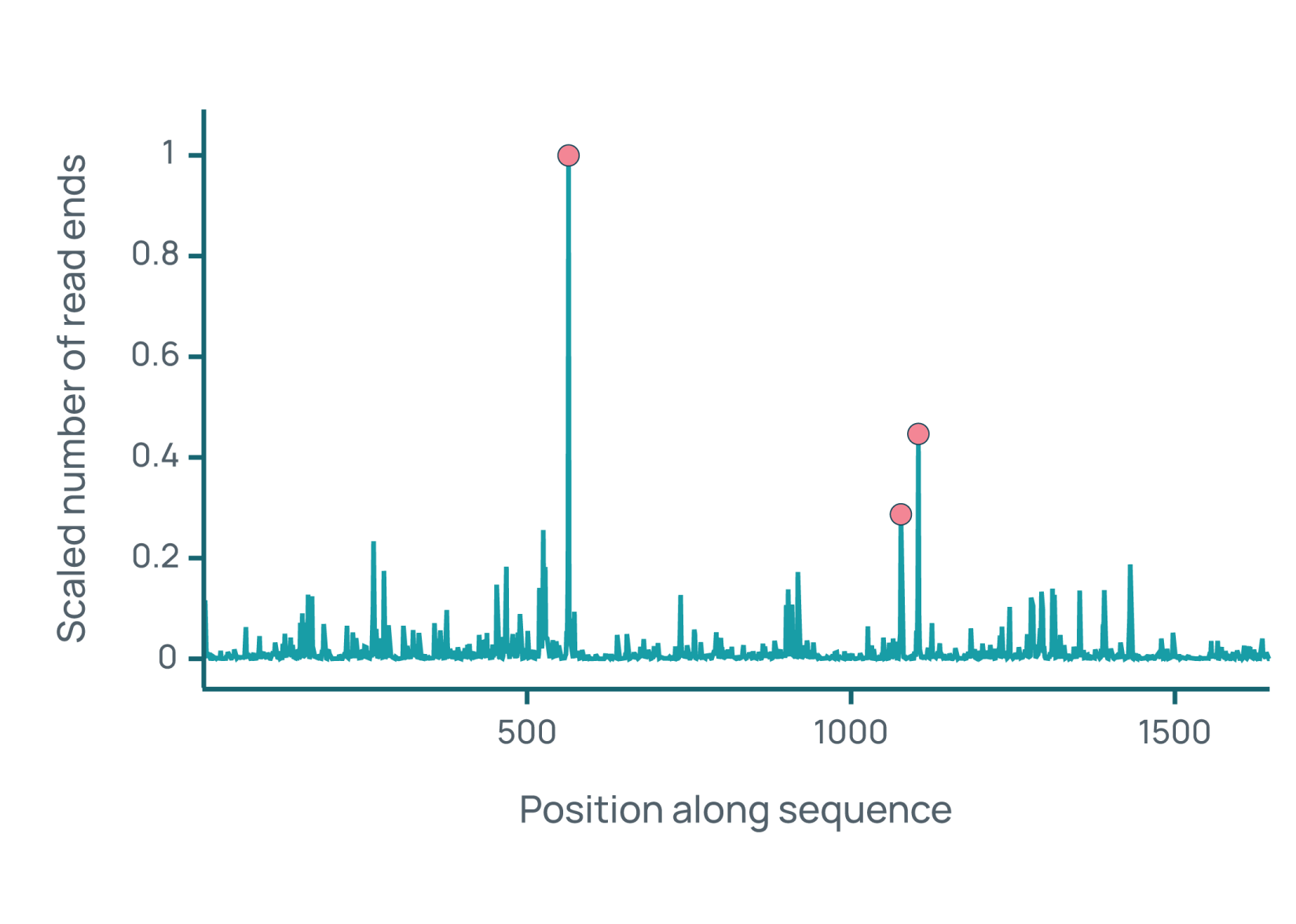Ribosome profiling