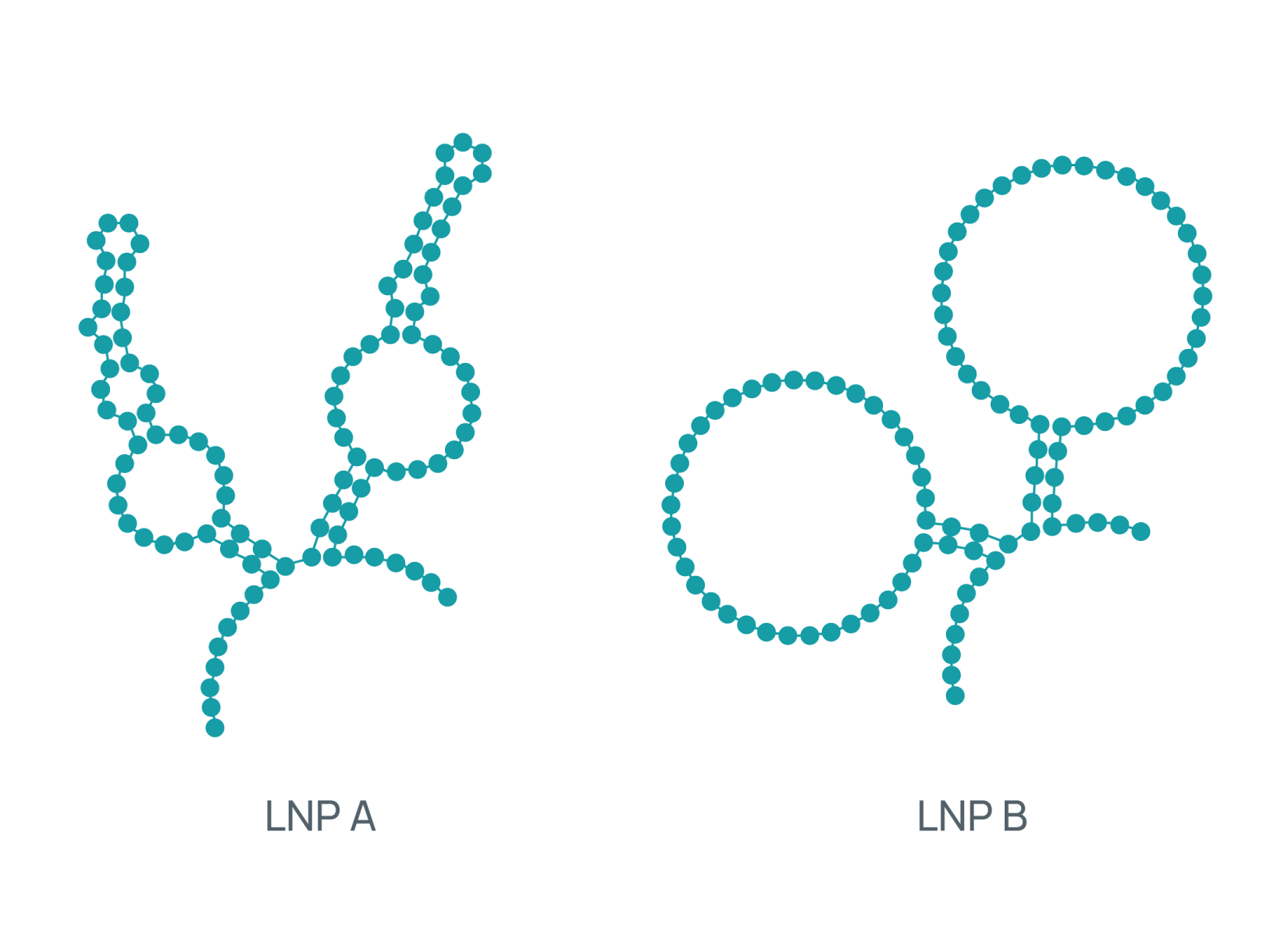 RNA secondary structure comparison across LNP formulations