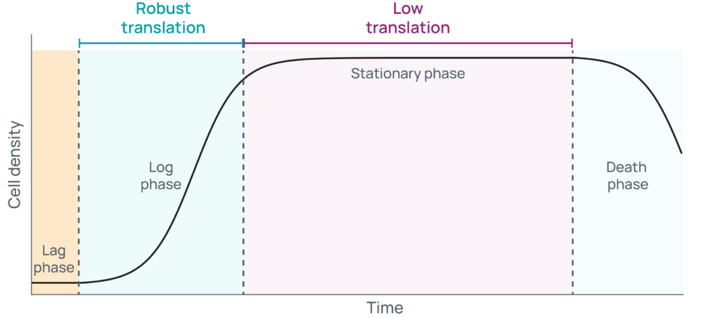 Line plot showing how the confluency of cells affects protein translation.