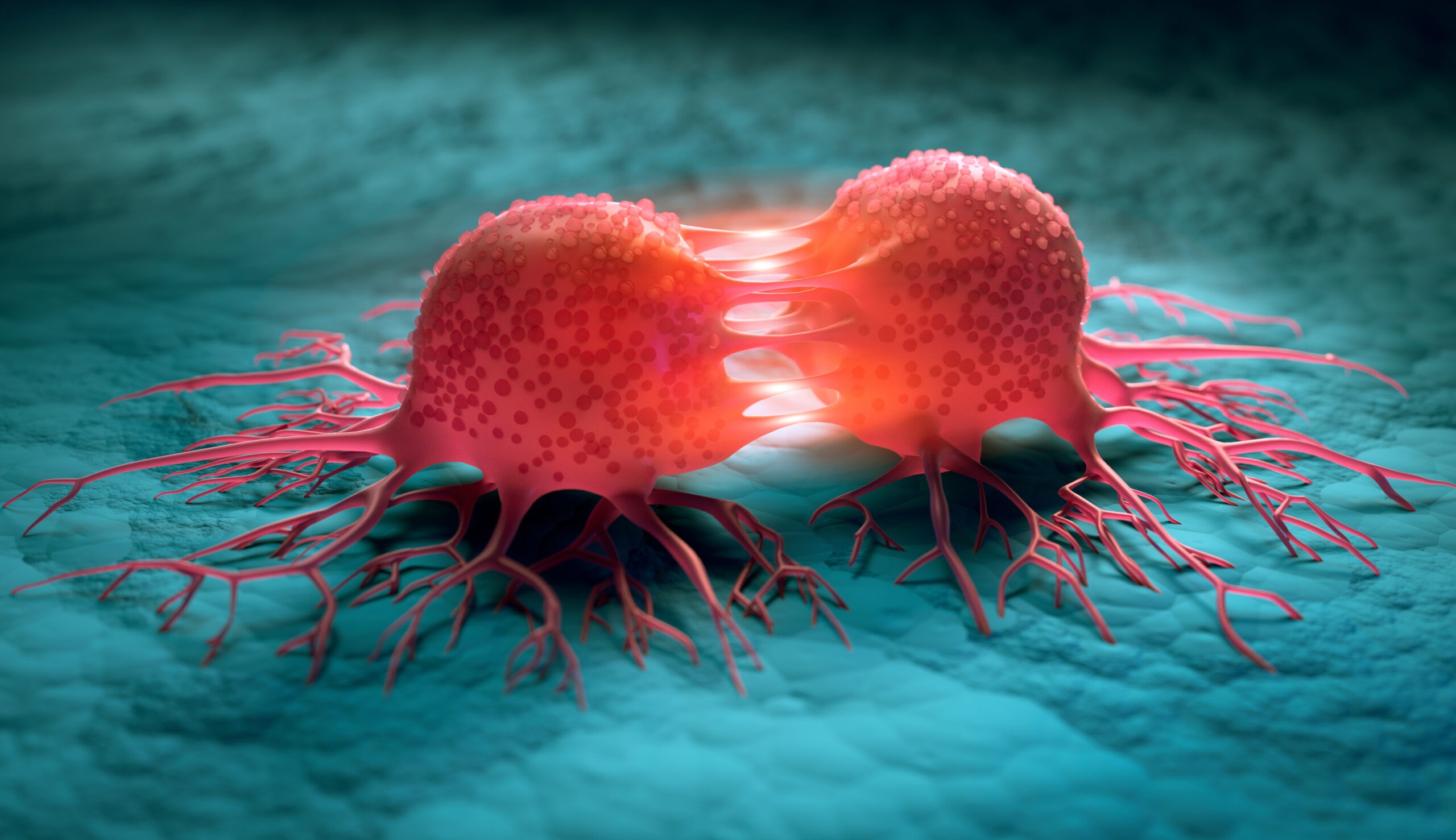 Image of a cancer cell dividing