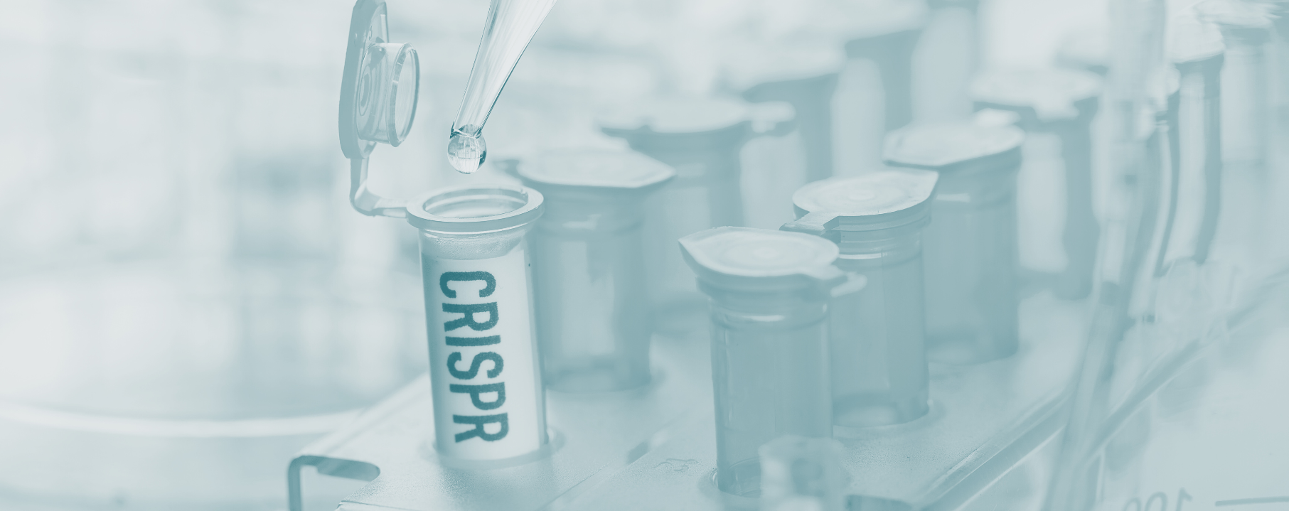 Tube labeled with CRISPR