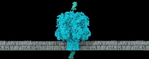 Representation of a nanopore for sequencing