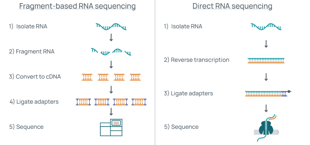 Comparison of fragment-based versus direct RNA sequencing
