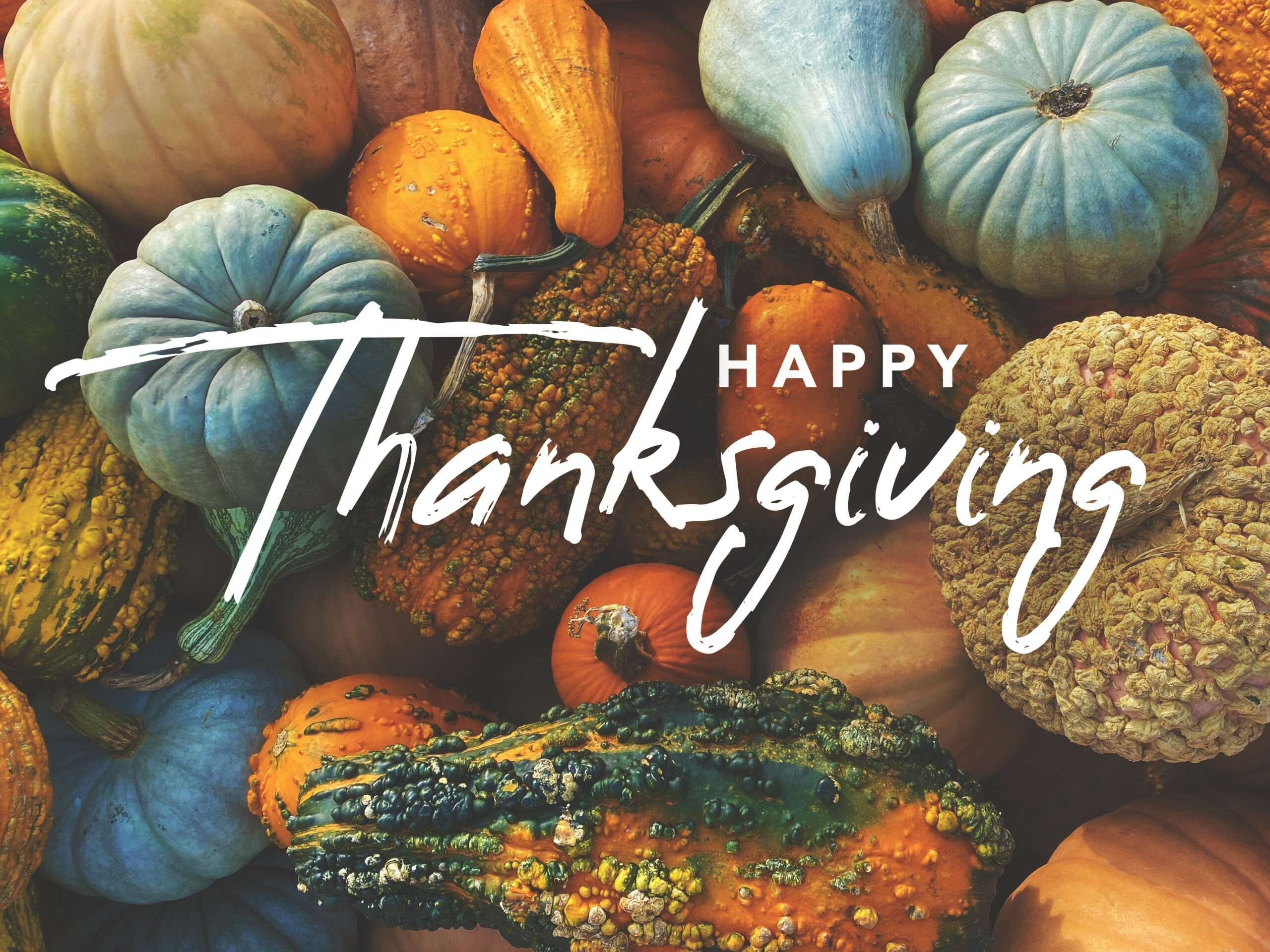 Happy Thanksgiving from Eclipsebio