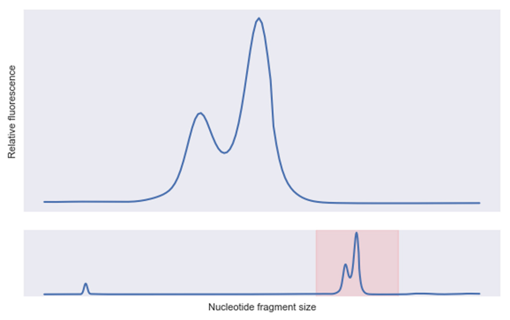 expression curve 3 months after synthesis