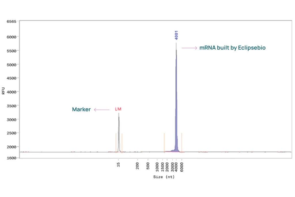Fragment analyzer trace of an RNA produced by Eclipsebio