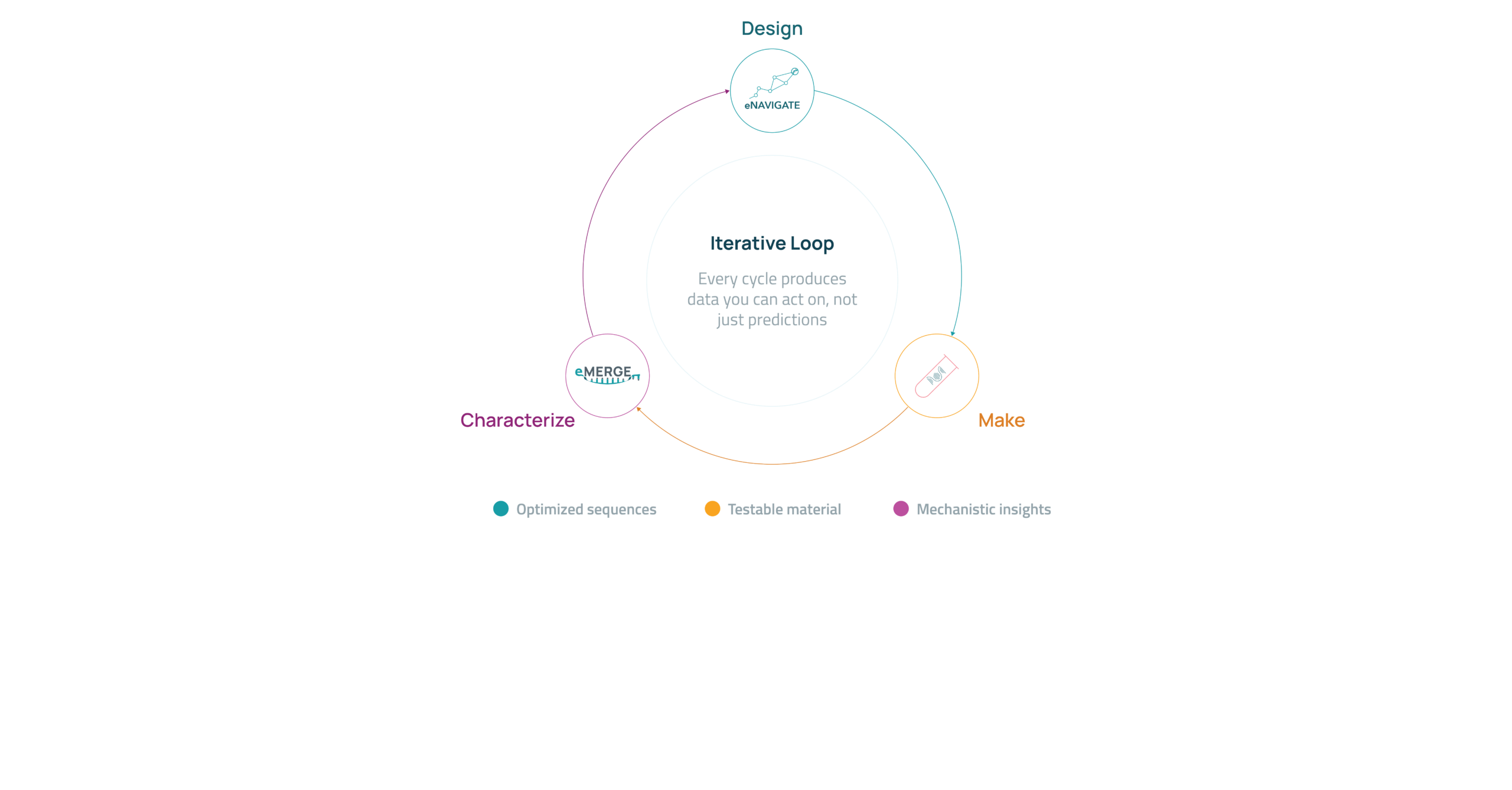 eCOMPASS provides lab-in-the-loop optimization of RNA therapeutics
