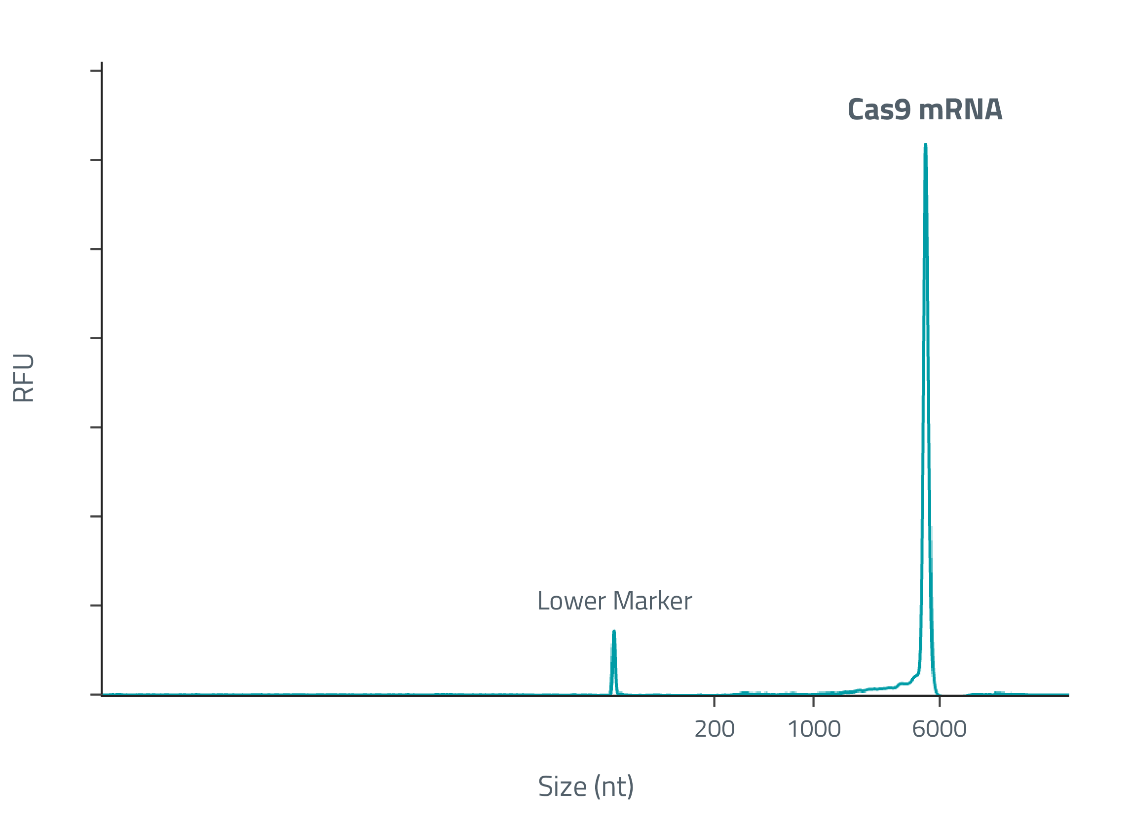 Fragment analyzer trace