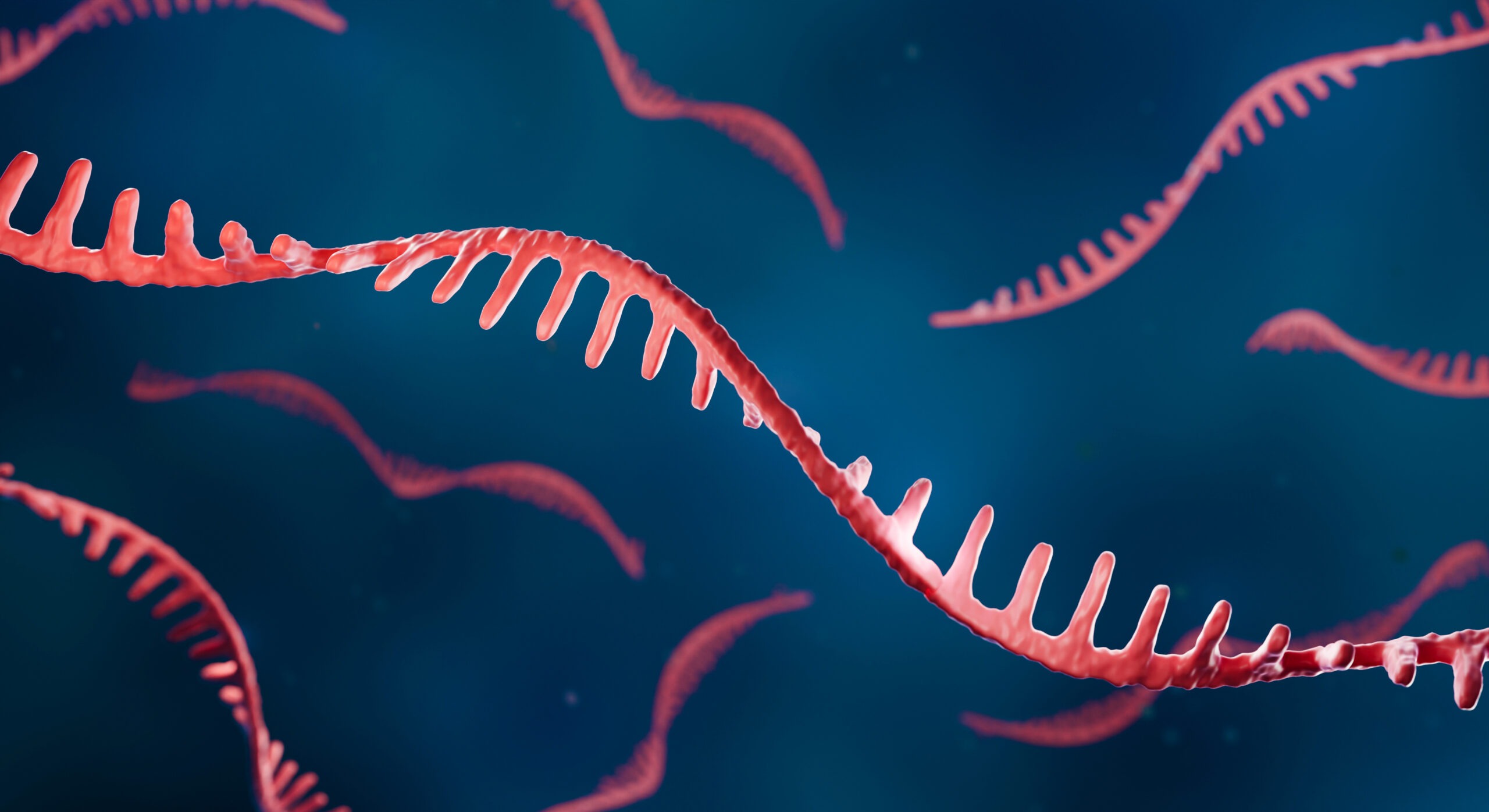 strands of red RNA