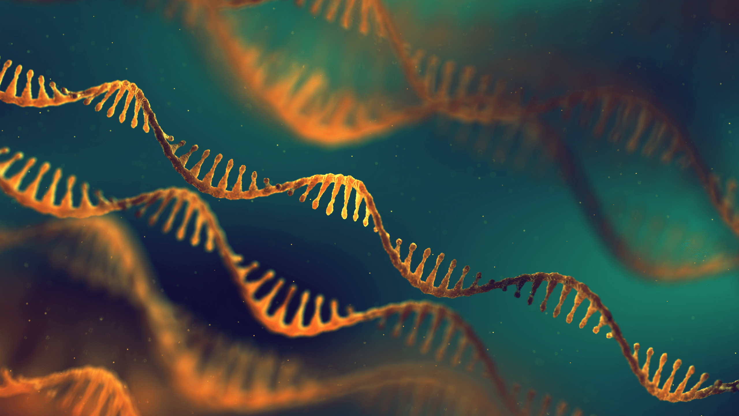 Orange and green RNA