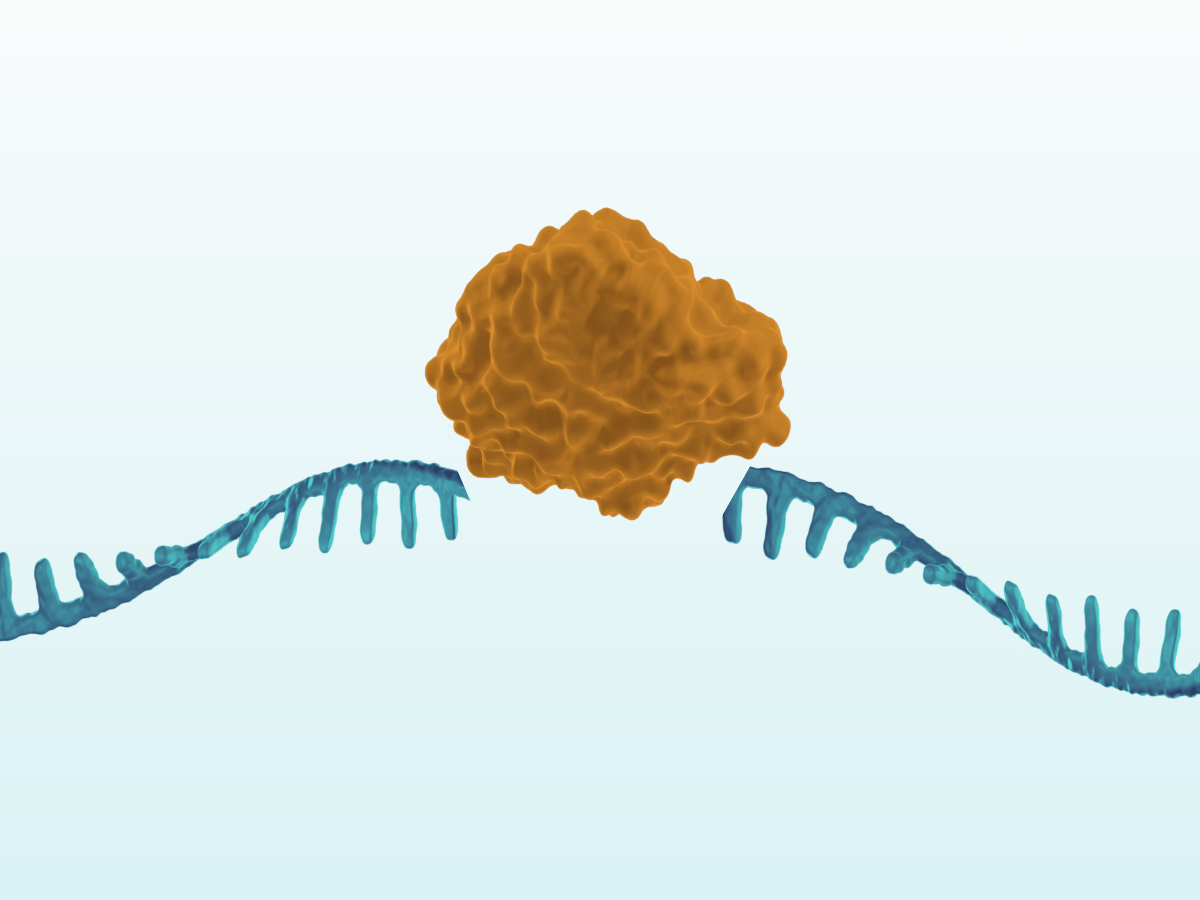 RNA-targeting CRISPR
